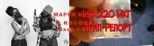 эйфоретик Арсеньев