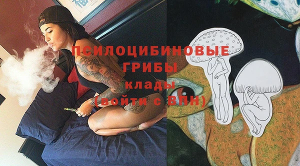 прущая мука Армянск