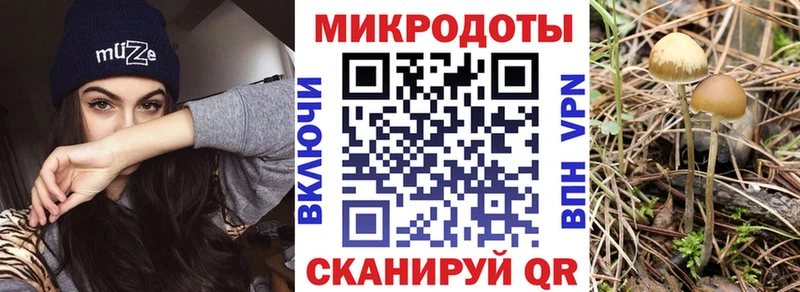 Галлюциногенные грибы Cubensis  Владивосток 