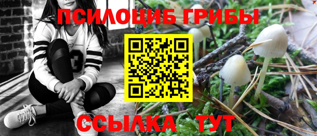 Галлюциногенные грибы ЛСД  что такое наркотик  Владивосток  Вход с VPN 