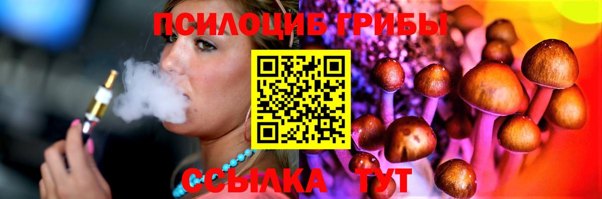 Псилоцибиновые грибы Psilocybine cubensis Владивосток